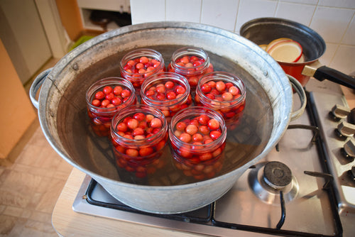The Art of Making Natural Jams and Jellies: Tips from Monkey Salsa
